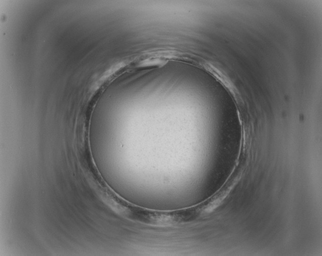 X0000085290301200703231839
