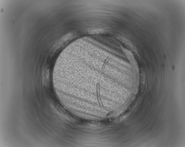 X0000085290308200703231839