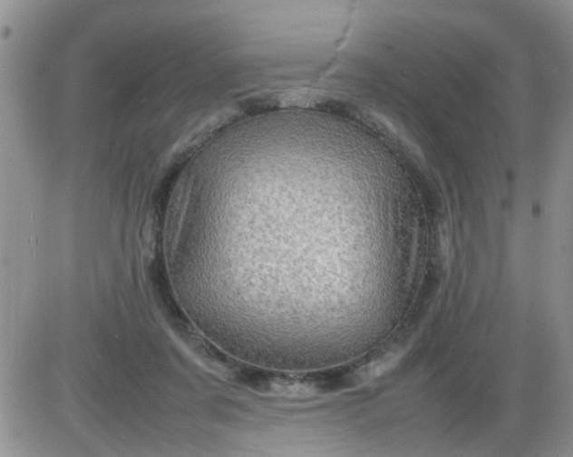 X0000085290311200703231839
