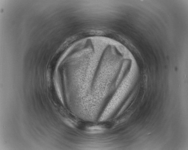 X0000085290312200703231839