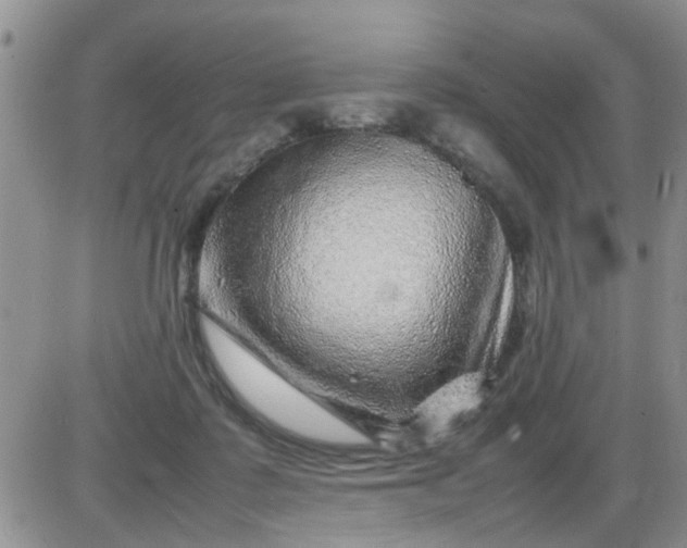 X0000085290315200703231839