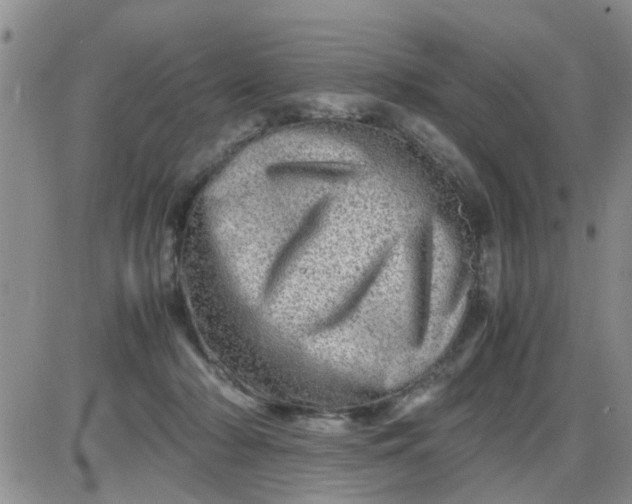 X0000085290318200703231839