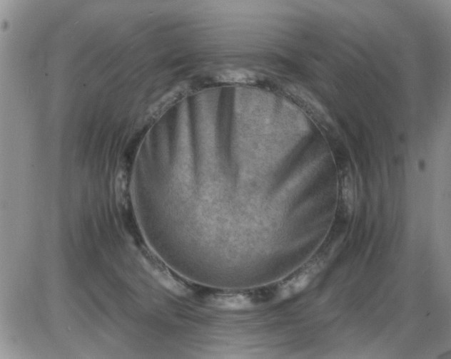 X0000085290322200703231839