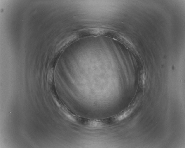X0000085290325200703231839
