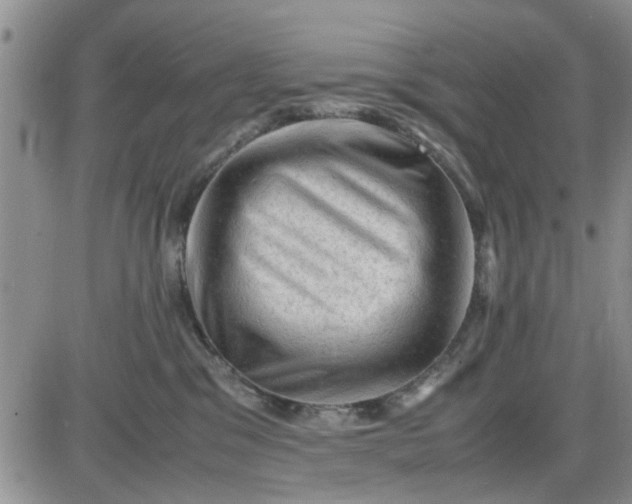 X0000085290329200703231839