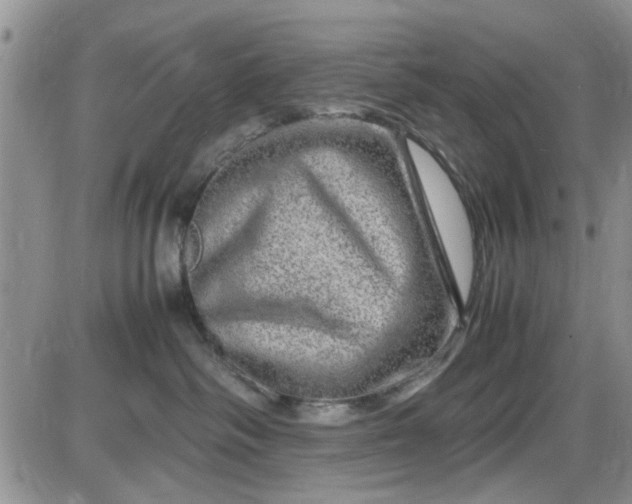X0000085290334200703231839