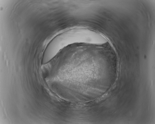 X0000085290337200703231838