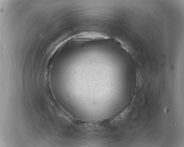 X0000085290338200703231838