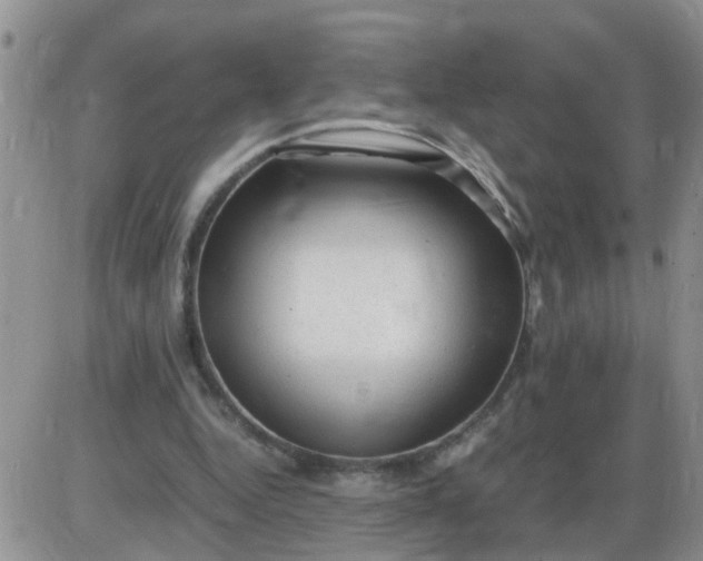 X0000085290344200703231838