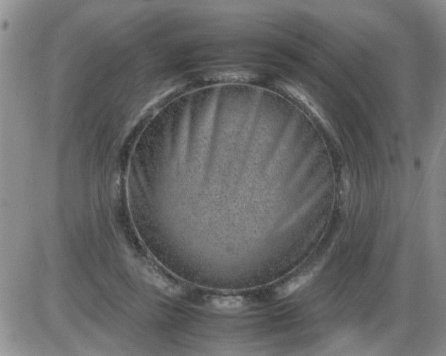 X0000085290355200703231838