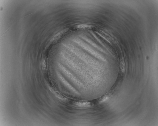 X0000085290375200703231839