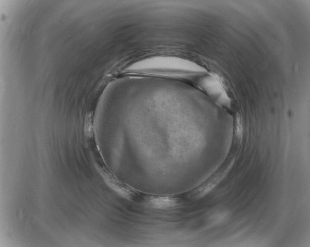 X0000085290383200703231839