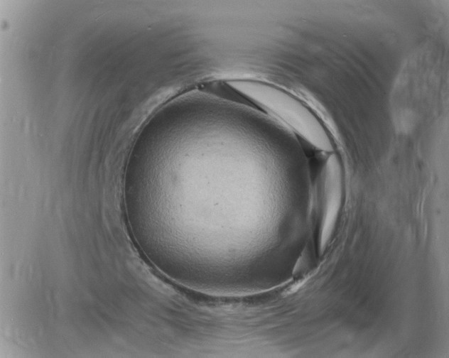 X0000085290385200703231838