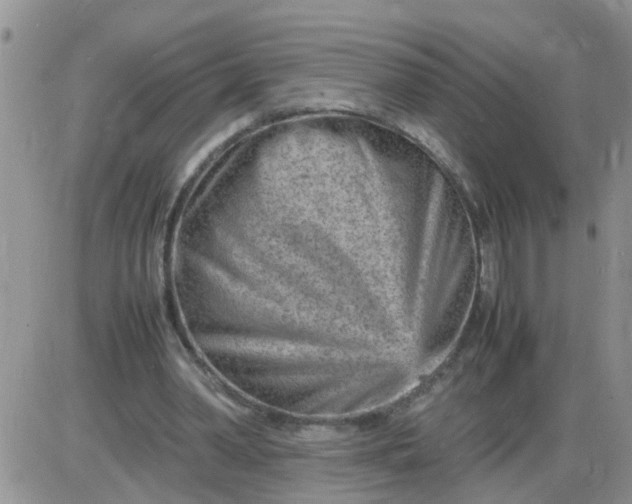 X0000085290390200703231838