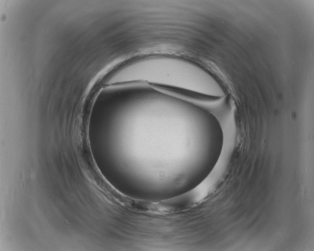 X0000085290392200703231838