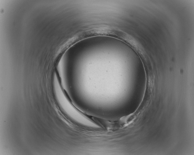 X0000085290397200703231838