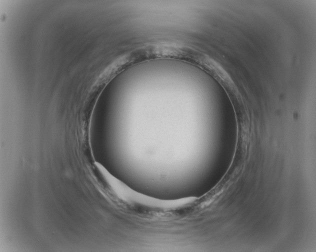 X0000085290401200703231838