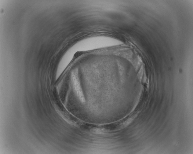 X0000085290408200703231838