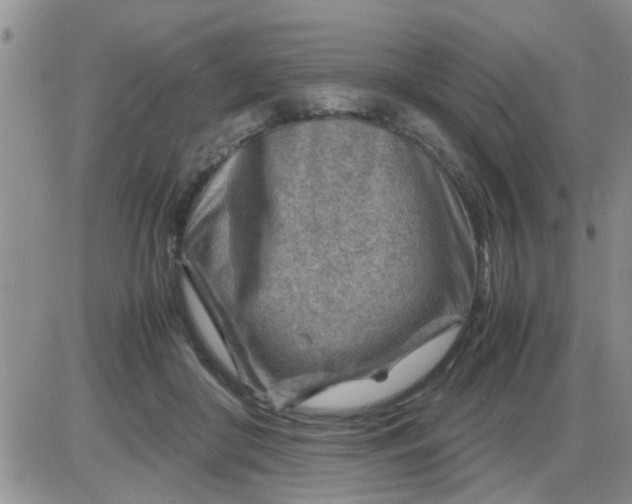X0000085290410200703231838