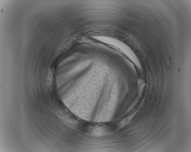 X0000085290412200703231838