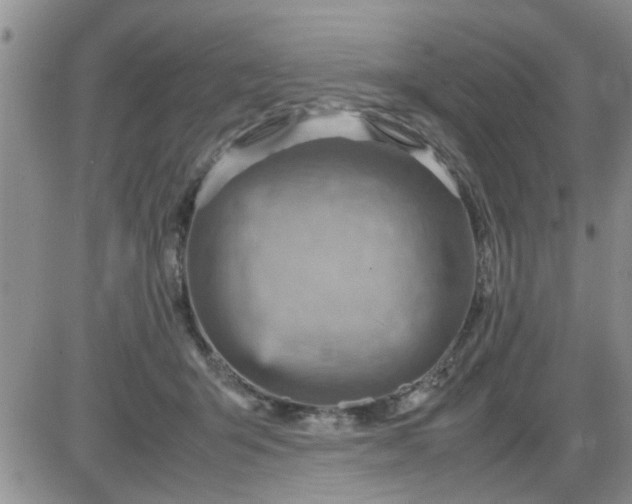 X0000085290415200703231838