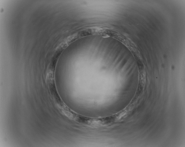 X0000085290419200703231838
