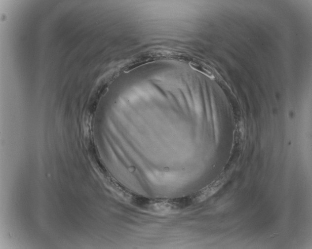 X0000085290423200703231837