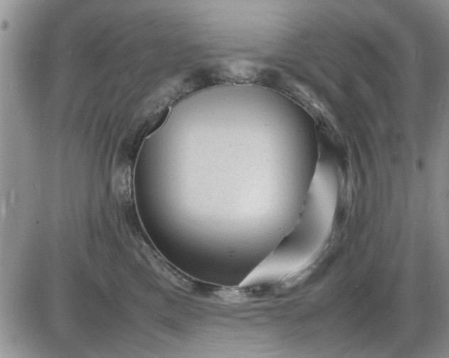 X0000085290425200703231837