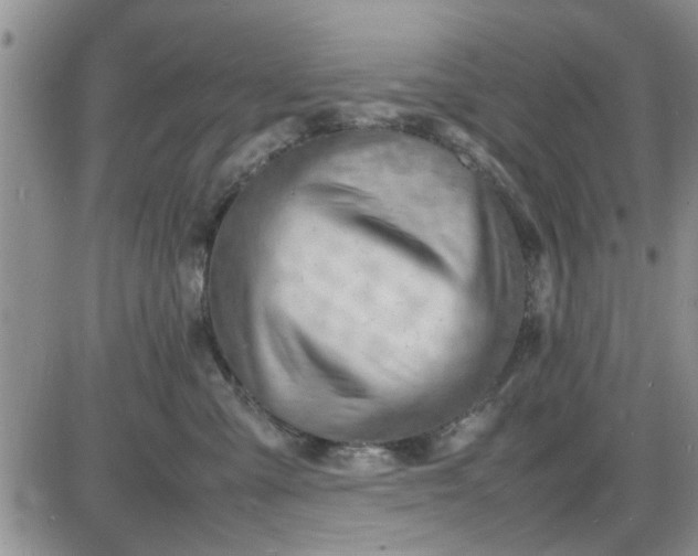 X0000085290427200703231837