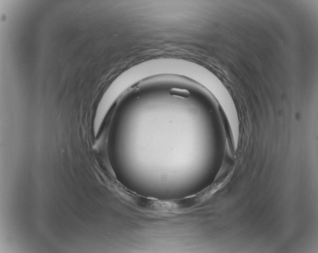X0000085290429200703231837