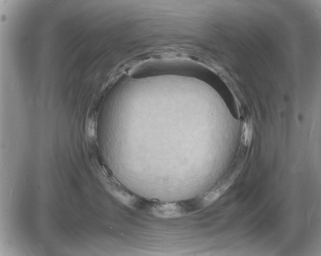X0000085290431200703231837