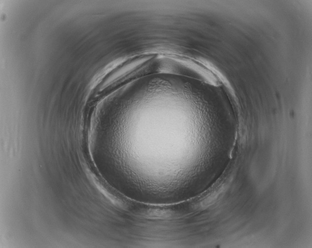 X0000085290437200703231837