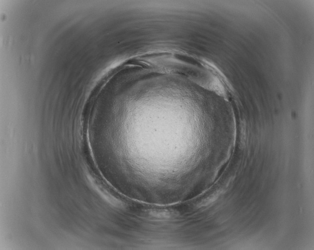X0000085290439200703231837