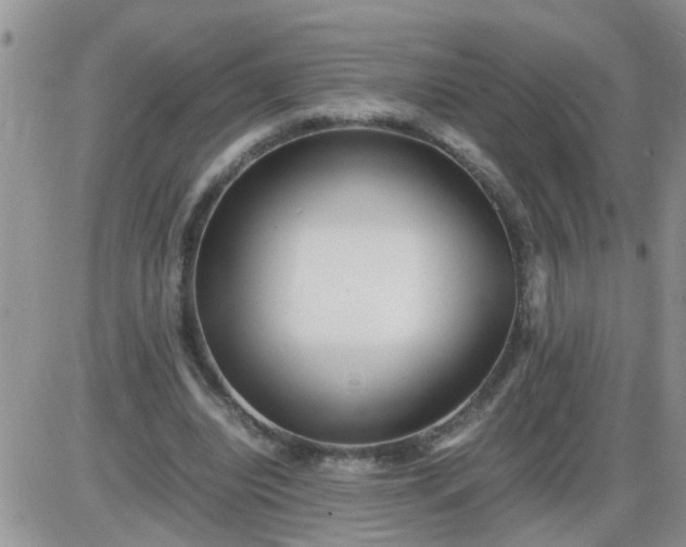 X0000085290440200703231837