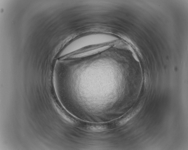 X0000085290445200703231837