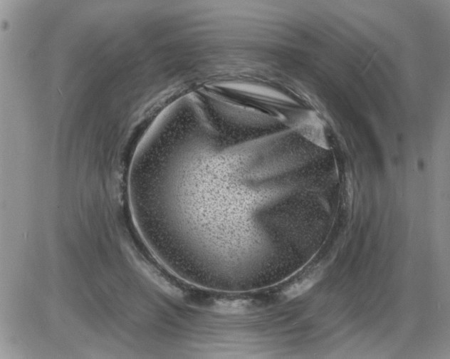 X0000085290450200703231837