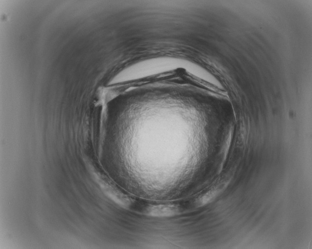 X0000085290461200703231837