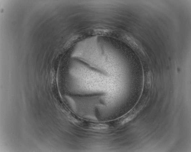 X0000085290463200703231837