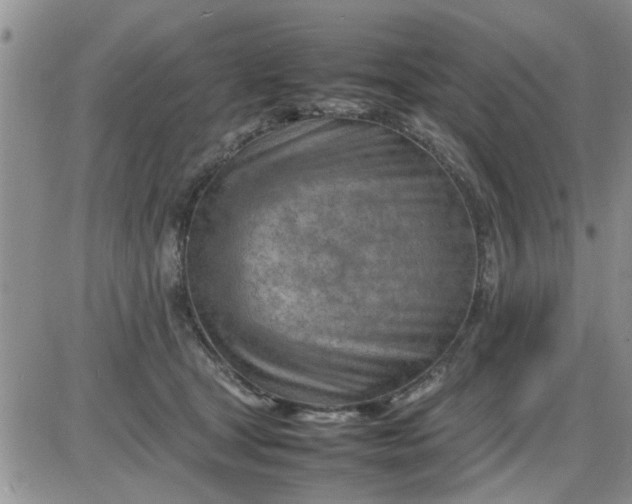 X0000085290465200703231837