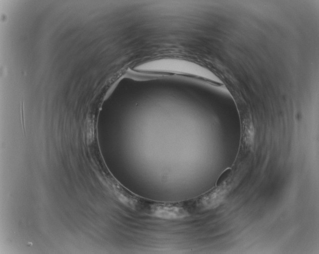 X0000085290471200703231837