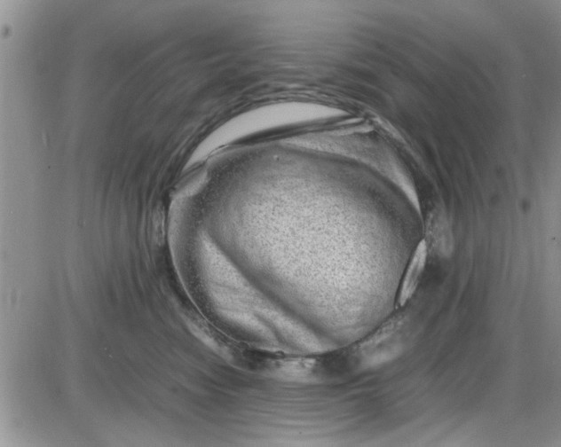 X0000085290474200703231837