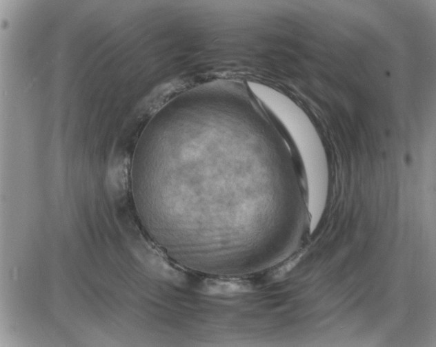 X0000085290475200703231837