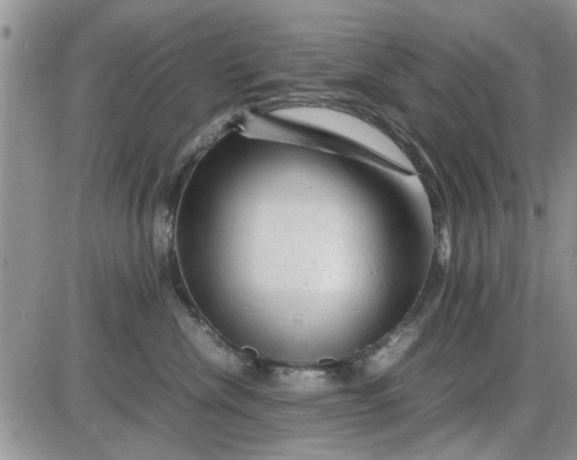 X0000085290476200703231837
