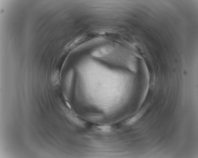 X0000085290478200703231837
