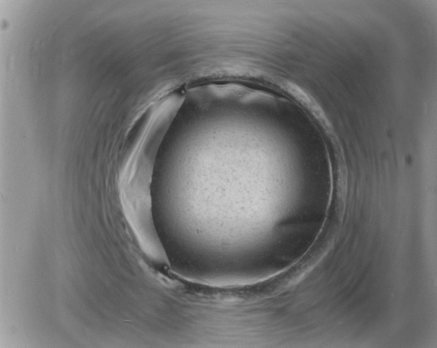 X0000085290481200703231836