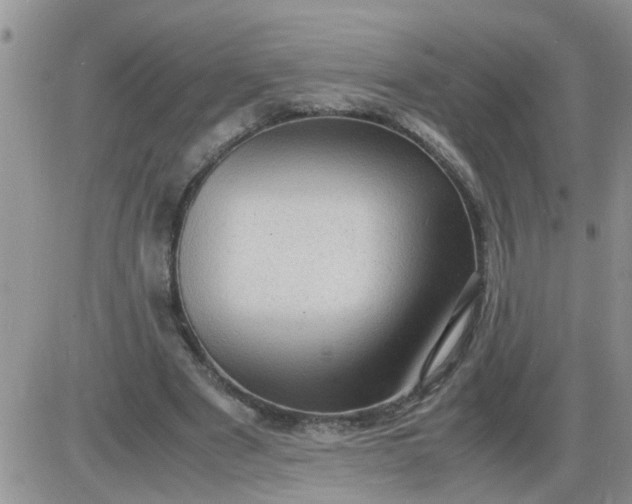 X0000085290489200703231836