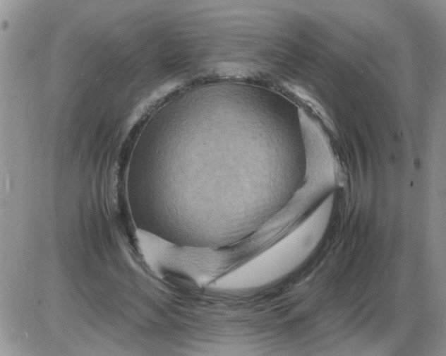 X0000085290492200703231836