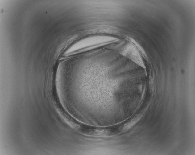 X0000085290493200703231836