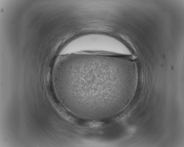 X0000085290495200703231836