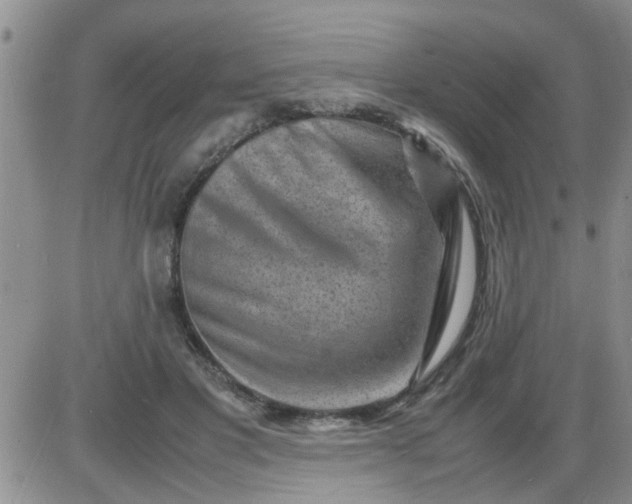 X0000085290501200703231836
